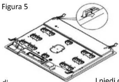 Figura 5 di I niedi c
