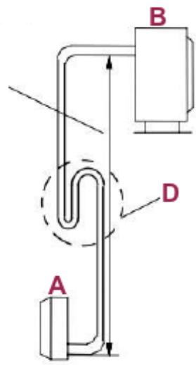 A B D