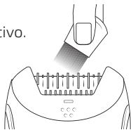 ivo.
