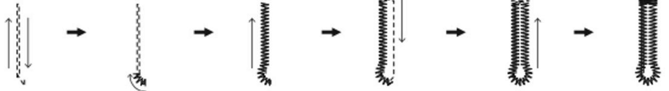 graph LR A["↑↓"] --> B["→"] B --> C["→"] C --> D["↑"] D --> E["→"] E --> F["↓"] F --> G["→"] G --> H["↑"] H --> I["→"]