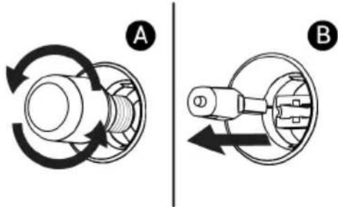 A B