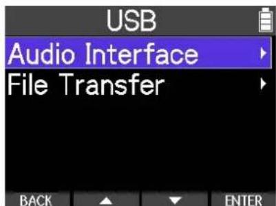 USB Audio Interface File Transfer BACK ENTER
