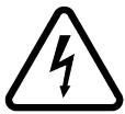 CECOTEC Cecoraptor Perfect Work 360 Advance - Warning due to electrical voltage - 1