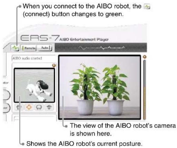 When you connect to the AIBO robot, the (connect) button changes to green. ERS-7 AIBO Entertainment Player Remote Auto AIBO audio started The view of the AIBO robot's camera is shown here. Shows the AIBO robot's current posture.