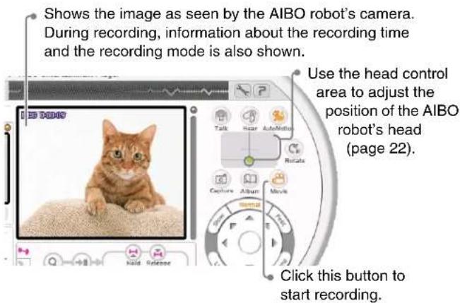 Shows the image as seen by the AIBO robot's camera. During recording, information about the recording time and the recording mode is also shown. Use the head control area to adjust the position of the AIBO robot's head (page 22). Click this button to start recording.