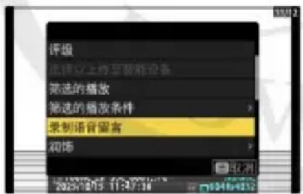 评级 选择以上传至智能设备 筛选的播放 筛选的播放条件 录制语音留言 修饰 取消