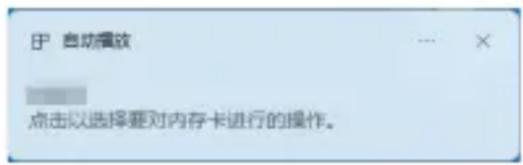 自动播放 点击以选择要对内存卡进行的操作。