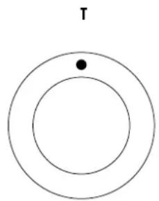 Simple diagram with two concentric circles and a labeled point 'T' (no text or symbols within the circles)