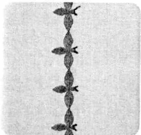 Black-and-white illustration of a vertical chain of fish-like shapes, no text or symbols present