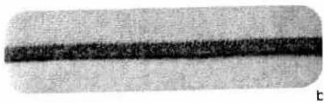 Close-up of a textured, elongated object with a horizontal dark band (no visible text or symbols)