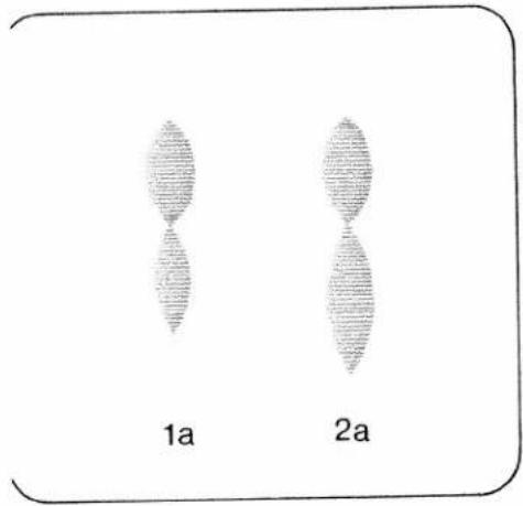 1a 2a