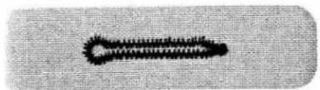 Close-up of a black, elongated, oval-shaped object on a textured gray background (no text or symbols visible)