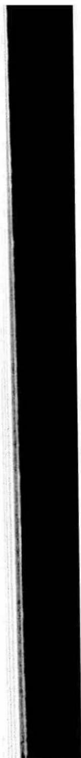 Pure vertical black line on white background, no text or symbols present