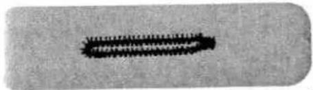 Close-up of a dark, elongated object with serrated edges on a textured gray background (no visible text or symbols)