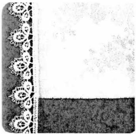 Decorative border design with floral border and textured background (no text or symbols)