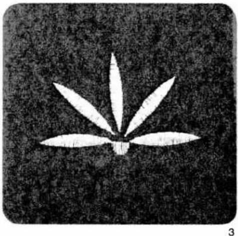 Abstract white floral or leaf-like pattern on dark textured background, no text or symbols present