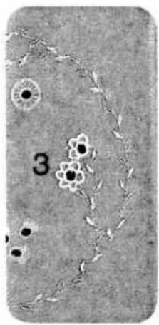 Microscopic view of cellular structures with labeled number 3 (no text or symbols beyond label)