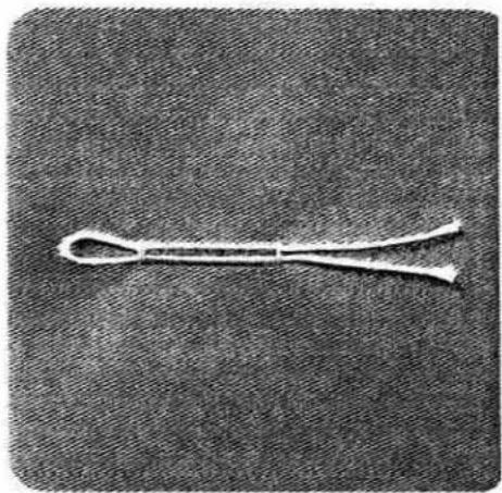 Close-up of a white knuckle-shaped object on a textured gray background (no text or symbols visible)