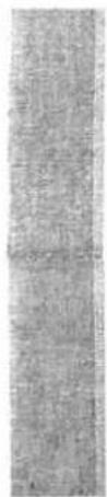 Scanned text of contract clauses or legal document sections