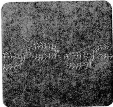 Black-and-white aerial photo of a dense forest with scattered white figures (no visible text or symbols)