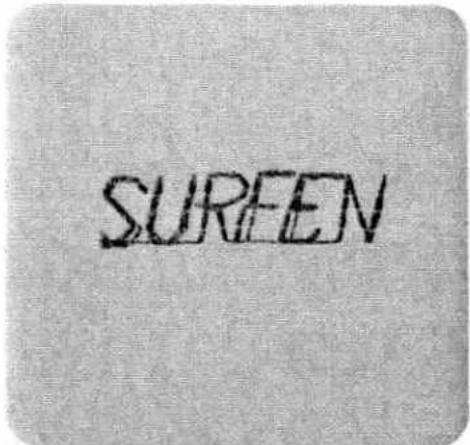SURFEN