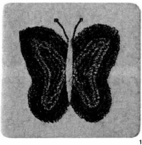 Black-and-white illustration of a butterfly with visible wing venation (no text or symbols)