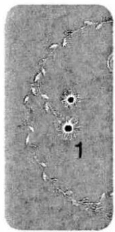 Microscopic view of cellular structures with labeled number 1 (no text or symbols beyond label)