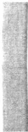 Scanned text of contract clauses