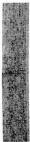Ancient Chinese stone inscription with vertical classical text, likely a stele or inscription