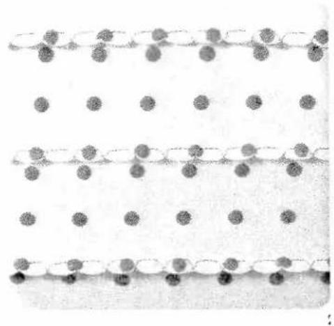 Three parallel rows of circular elements on a white background, no text or symbols present