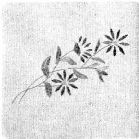 Black-and-white illustration of a flowering branch with multiple blossoms and leaves (no text or symbols)