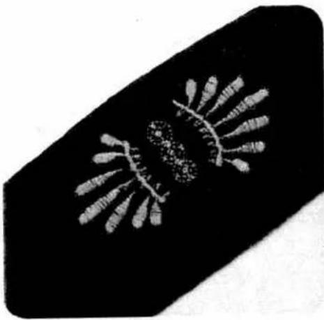 Black rectangular object with a central abstract pattern resembling a stylized flower or seed pod (no text or symbols)