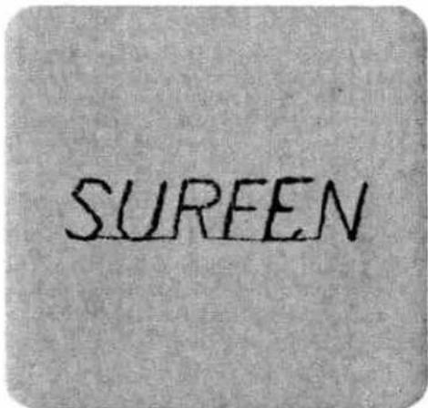 SURFEN