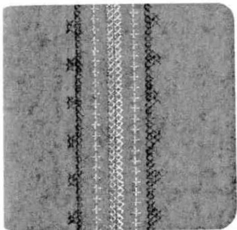 Cropped image showing vertical Chinese text lines on a textured gray background, possibly from a document or label.