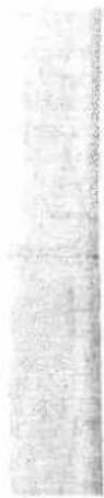 Scanned text of contract clauses with partially visible Chinese characters and a vertical line separator
