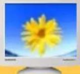 SAMSUNG SyncMaster 785MB - 信息 - 1