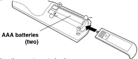 AAA batteries (two)