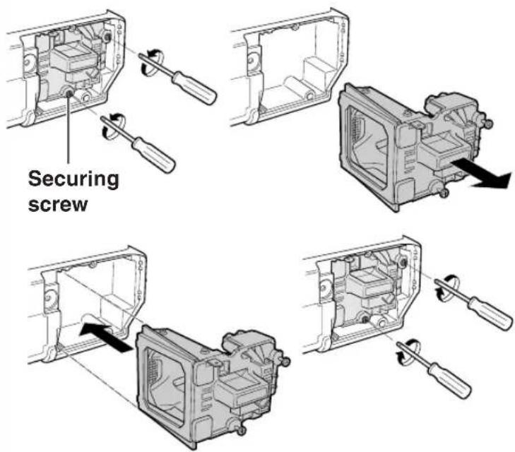 Securing screw