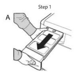 A Step 1
