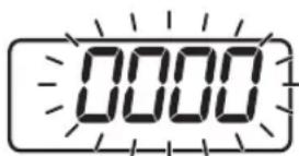 0000
