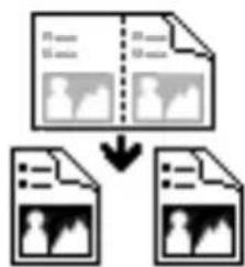 graph TD A["Input Image File"] --> C["Output Format 1"] B["Input Image File"] --> C C --> D["Output Format 2"]