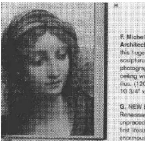 F. Michel Architect this huge sculpture photogra ceiling w ilus. (120 10 3/4" x G. NEW E Renassar unpraced first fires enormous