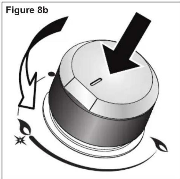 Figure 8b