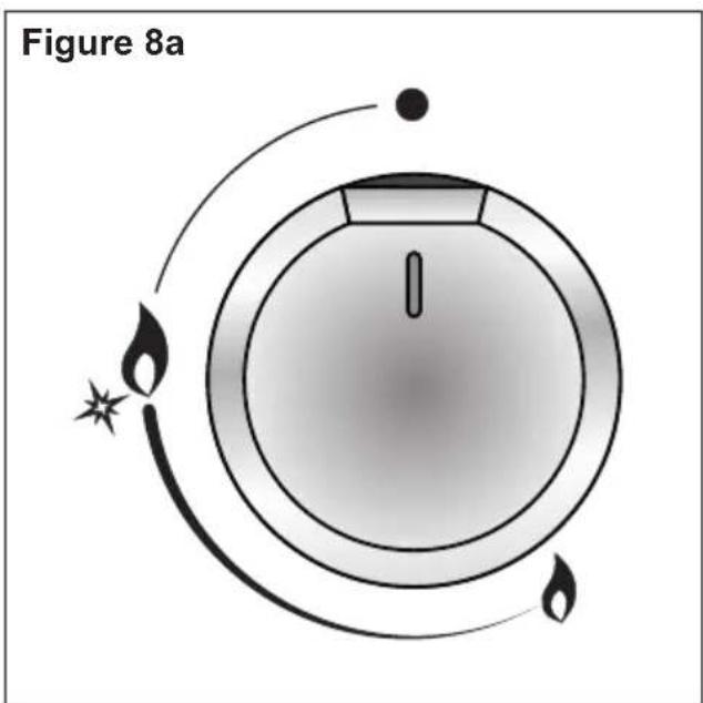 Figure 8a