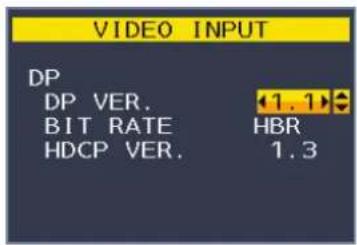 VIDEO INPUT DP DP VER. BIT RATE HDCP VER. 1.1 HBR 1.3