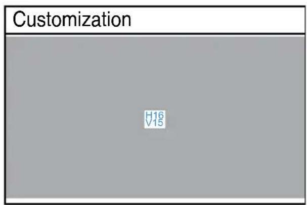 Customization H16 V15