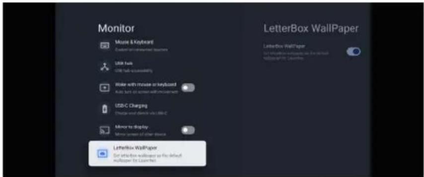 Monitor Mouse & Keyboard Customs on an email client USB flu USB flu accessibility Make with mouse or keyboard Make fun out screen with user apps USDC Charging Change and change via USB-C Minor to display Minor screen of other devices LetterBox Wallpaper Get Inflection wallpaper as the default wallpa…