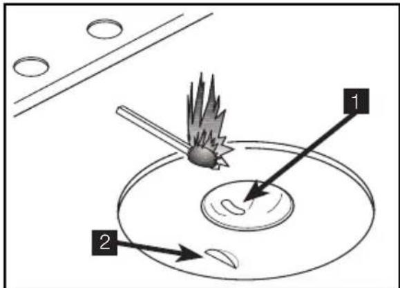Diagram illustrating a hair follicle tip with labeled parts 1 and 2, showing motion direction of the object.