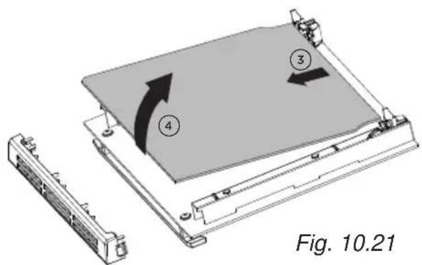 Fig. 10.21