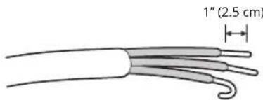 1" (2.5 cm)